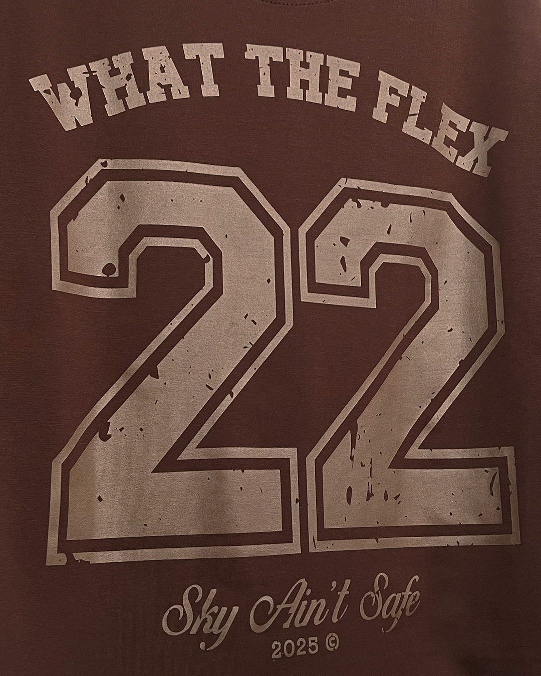 Skyfall Brown Heavyweight T-Shirt