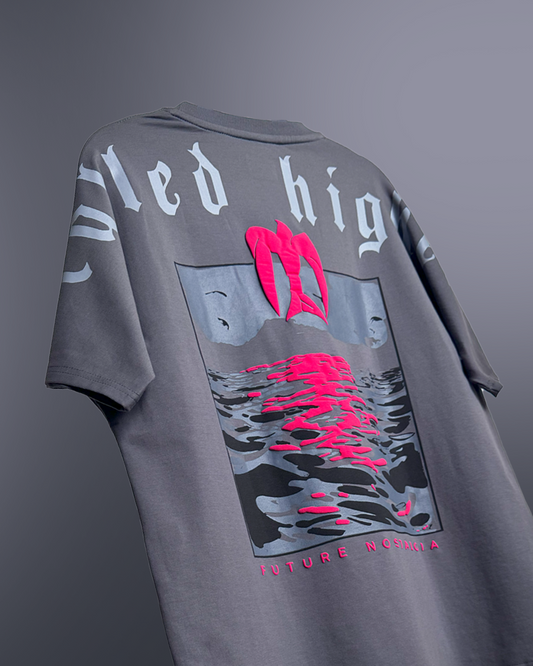 Called Higher Grey Heavyweight T-shirt