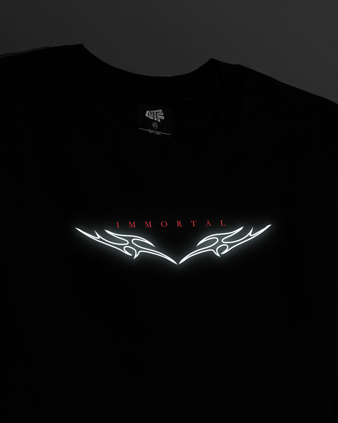Immortal Reflective Heavyweight T-shirt – WHAT THE FLEX
