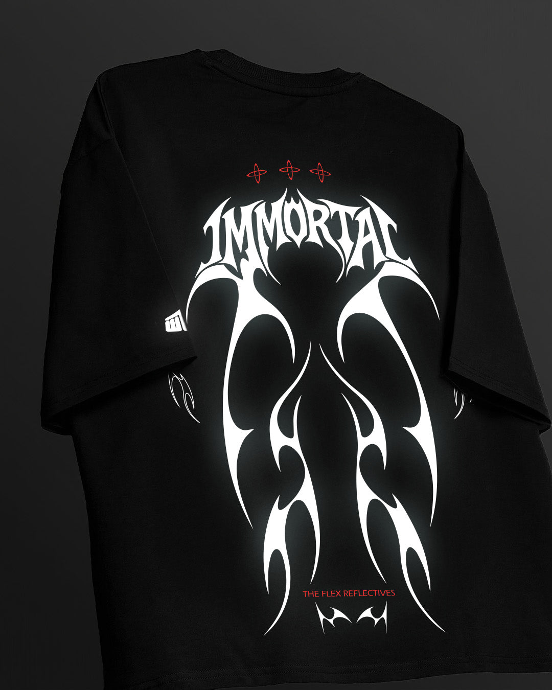 Immortal Reflective Heavyweight T-shirt – WHAT THE FLEX
