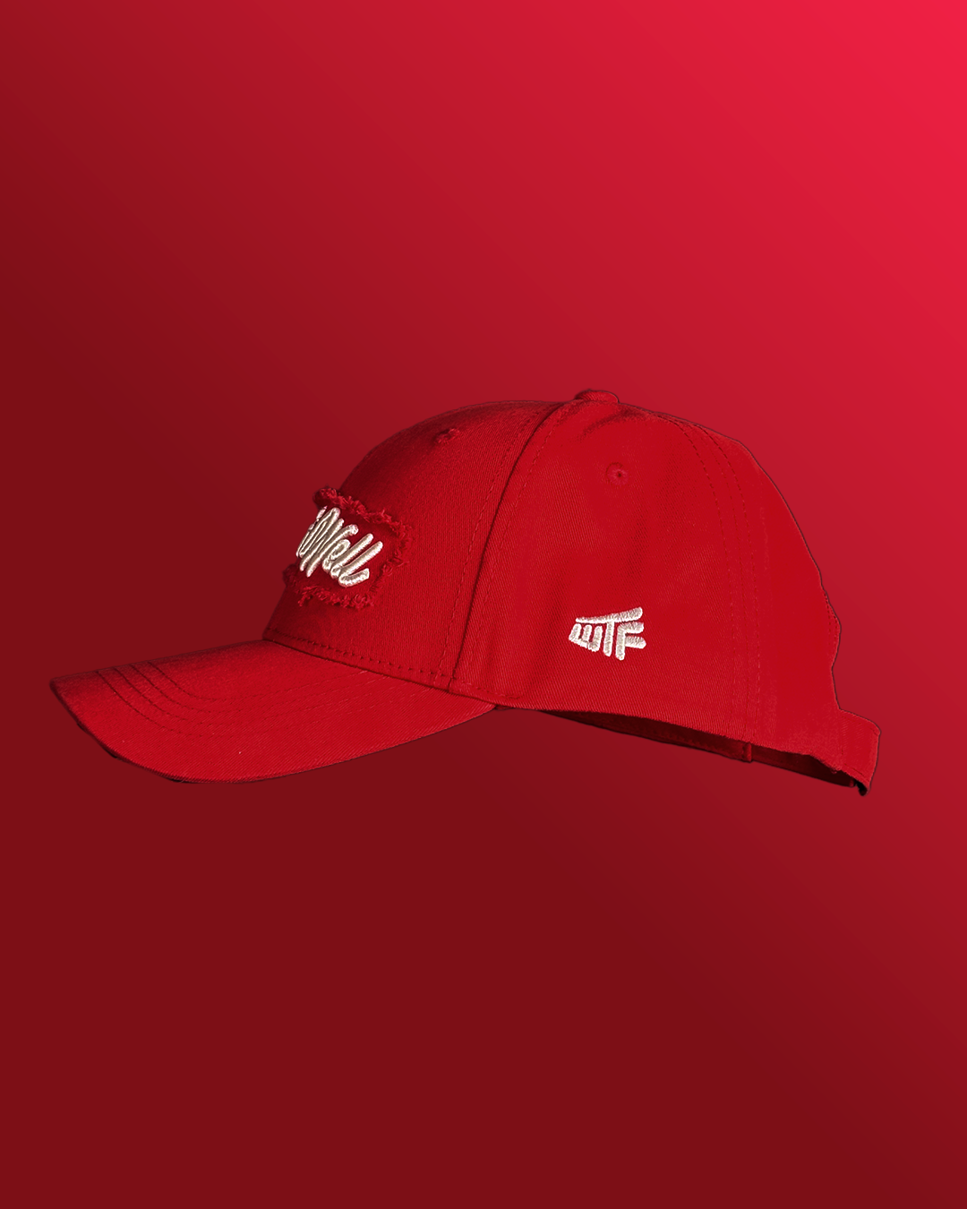 Doin’ Well Cotton Cap