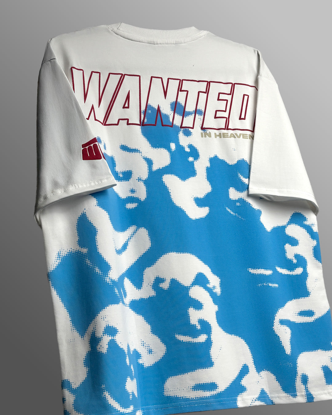Buy Wanted White Heavyweight T-shirt – WHAT THE FLEX